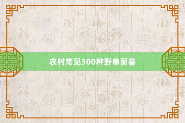 农村常见300种野草图鉴