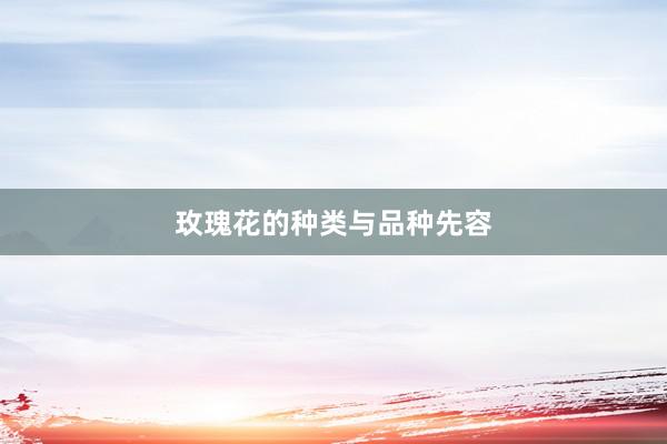 玫瑰花的种类与品种先容