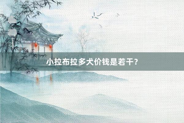 小拉布拉多犬价钱是若干?