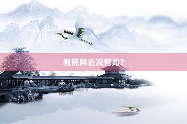 狗民网近况何如？