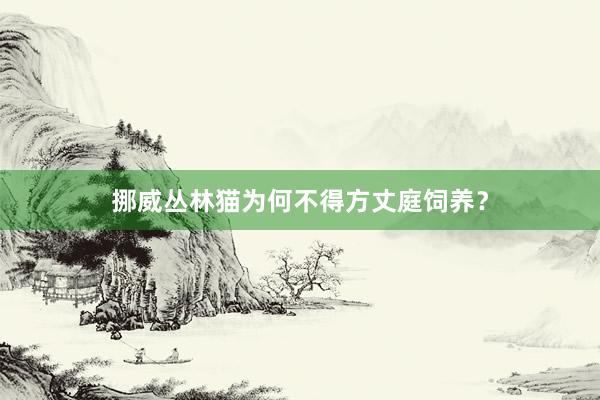 挪威丛林猫为何不得方丈庭饲养？